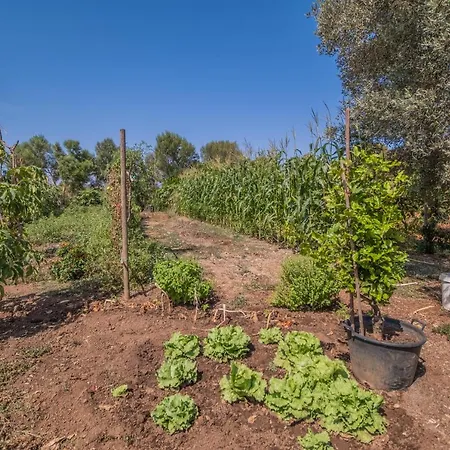 Tatil Evi Llorenc By Mallorca Selection *